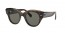 1292B1 (havana on transparent brown) dark grey lens