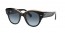 132241 (black on transparent brown) grey gradient lens