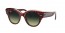 1323BH (havana on transparent purple) grey gradient lens