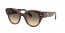 1324BG (havana on transparent pink) brown gradient lens