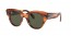 954/31 (striped havana) green lens