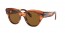 954/57 (striped havana) brown polarized lens