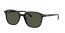 901/31 (black) green lens