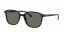 901/58 (black) green polarized lens