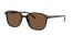 902/57 (tortoise) brown polarized lens
