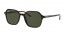 902/31 (tortoise) green lens