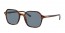 954/62 (striped havana) blue lens