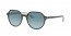 13163M (havana on light blue) blue gradient grey lens