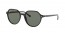 901/58 (black) green polarized lens