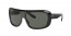 901/58 (black) green polarized lens