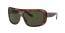 954/31 (striped havana) green lens