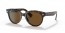902/57 (tortoise) brown polarized lens