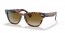 133451 (pink havana) light brown gradient lens