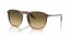 13920A (striped brown and green) brown gradient black lens