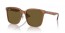 663673 (transparent brown) dark brown lens