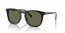 901/58 (black) green polarized lens