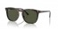 902/31 (tortoise) green lens