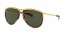 954/31 (striped havana) green lens