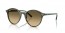 14210A (transparent shade fantasy green) brown lens