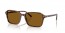 141833 (transparent fantasy brown) brown lens