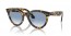 13323F (yellow havana) light blue gradient lens