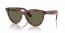 954/58 (striped havana) green polarized lens