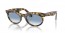 13323F (yellow havana) light blue gradient lens