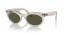 138331 (photo waves grey) green lens