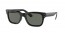 901/58 (black) polarized green lens