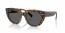 1292B1 (havana on transparent brown) dark grey lens