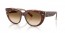 141451 (light havana on transparent multicolour) clear gradient brown lens
