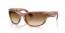 140351 (striped brown) clear/brown gradient lens