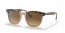 1292M2 (havana on transparent brown) brown gradient polarized lens