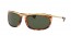 954/31 (striped havana) green lens