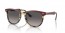 1377M3 (bordeaux on yellow havana) grey grad polarized lens