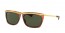 131231 (striped havana) green lens