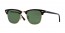 W0366 (mock tortoise/gold) green lens