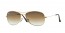 001/51 (gold) gradient brown lens