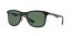 006/9A (matte black) polarized lens