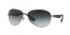 019/8G (matte silver) gradient lens