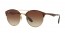 900813 (gold/top havana) gradient lens