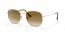 001/51 (gold) light brown gradient lens