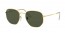 919631 (legend gold) green lens