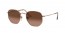 9069A5 (copper) pink gradient brown lens