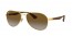 001/T5 (gold) gradient green polarized lens