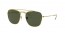 919631 (legend gold) green lenses