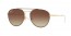 905513  GOLD TOP ON BROWN
