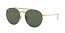 914071 (demi gloss gold) dark green lens