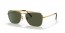 919631 (gold) green lens