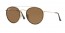 001/57 (gold) brown polarized lens